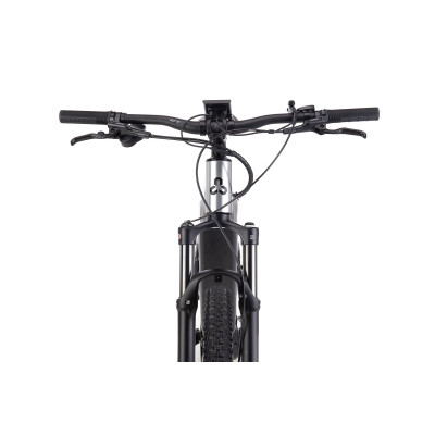 Elektrobicykel CTM PULZE Xpert-matná antracitová/strieborná 2024