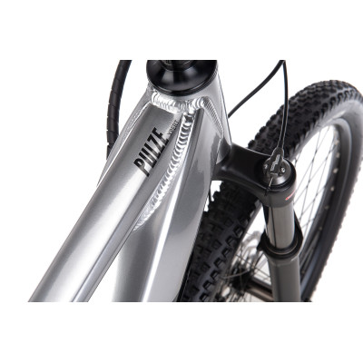 Elektrobicykel CTM PULZE Xpert-matná antracitová/strieborná 2024